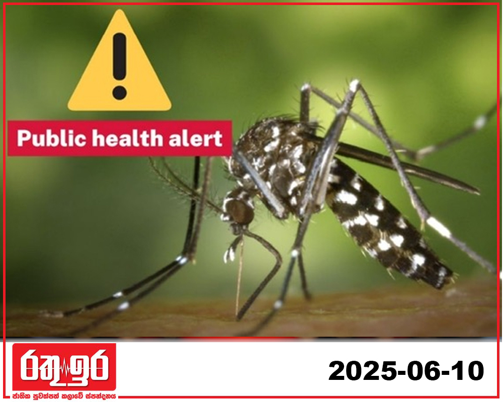 ඩෙංගු සහ චිකුන්ගුන්යා නිවාරණයට විශේෂ උපදෙස් පත්‍රයක්