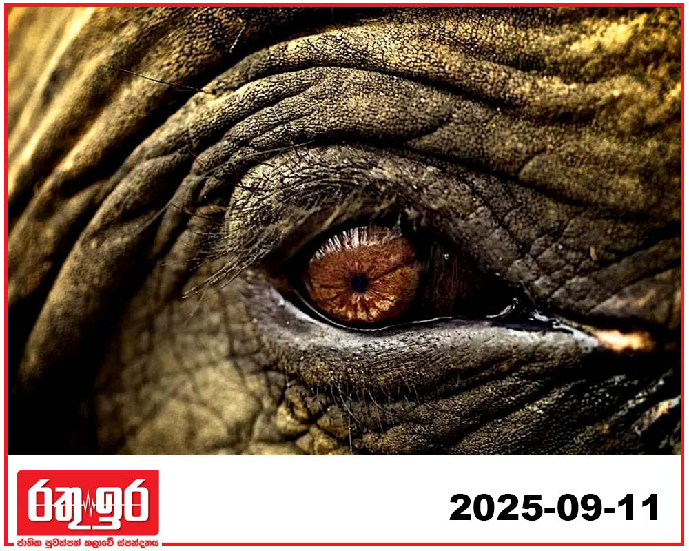 මහසිළුත් ඉවරයි