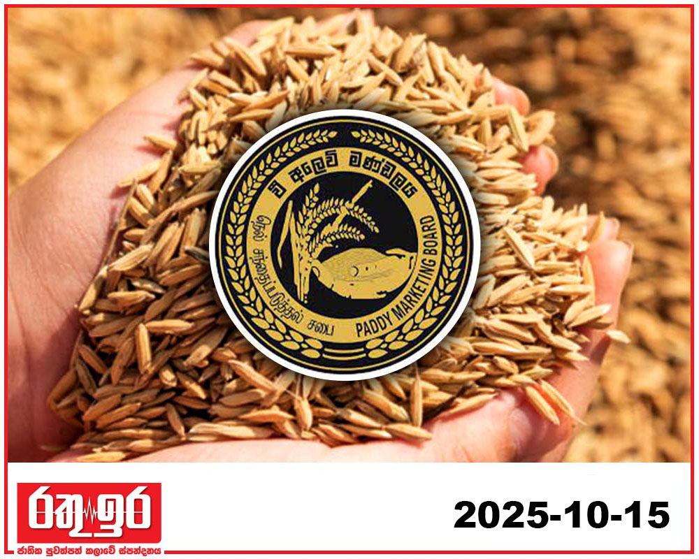 වී මෙට්ටි්‍රක් ටොන් 49647 ක් වී මණ්ඩලය මිළදී ගනී.