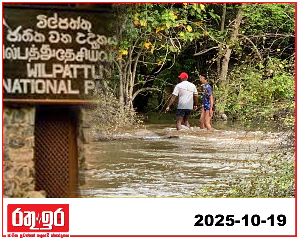 විල්පත්තුවේදී සංචාරකයන් පිරිසක් ගංවතුරට කොටුවෙයි..!
