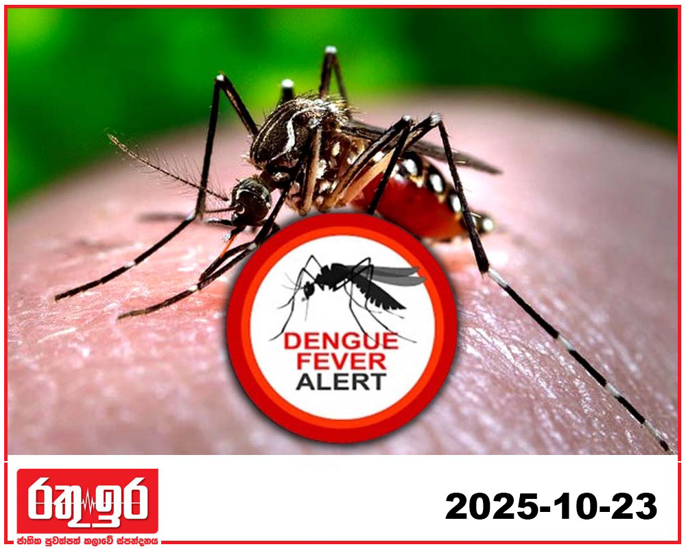 ඩෙංගු රෝගය පැතිරෙයි