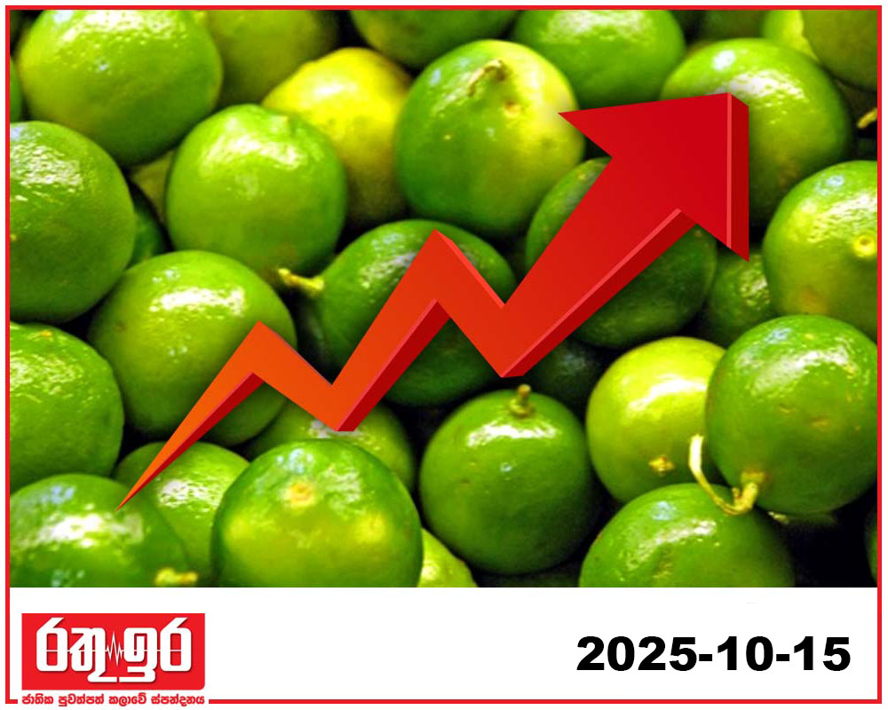 දෙහි මිළ නගී
