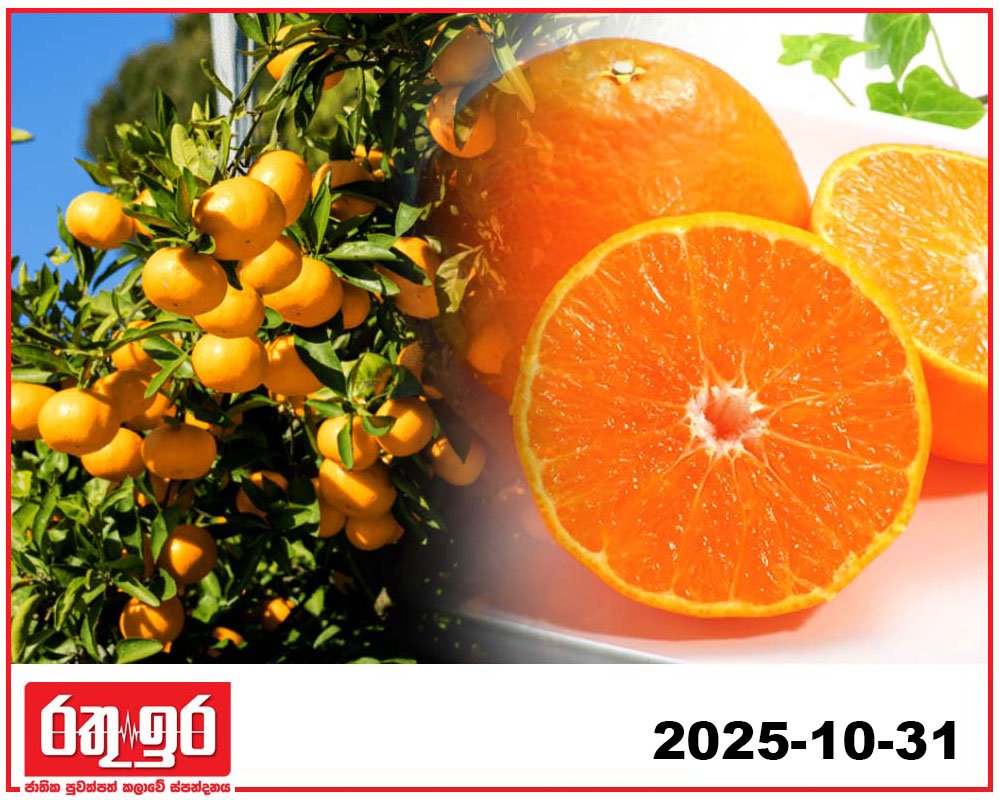 ජපානයේ ‘එහිමි’ නාරං ශ්‍රී ලංකාවට