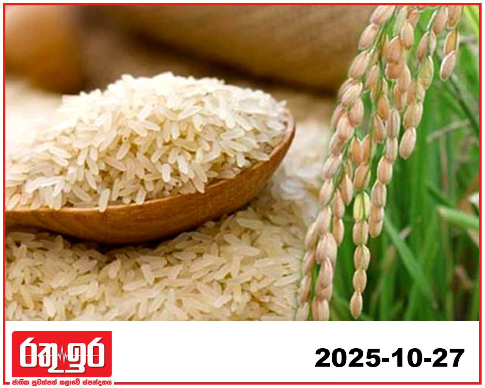 කීරි සම්බා හිඟයට පොන්නි සම්බා ගෙන්වයි