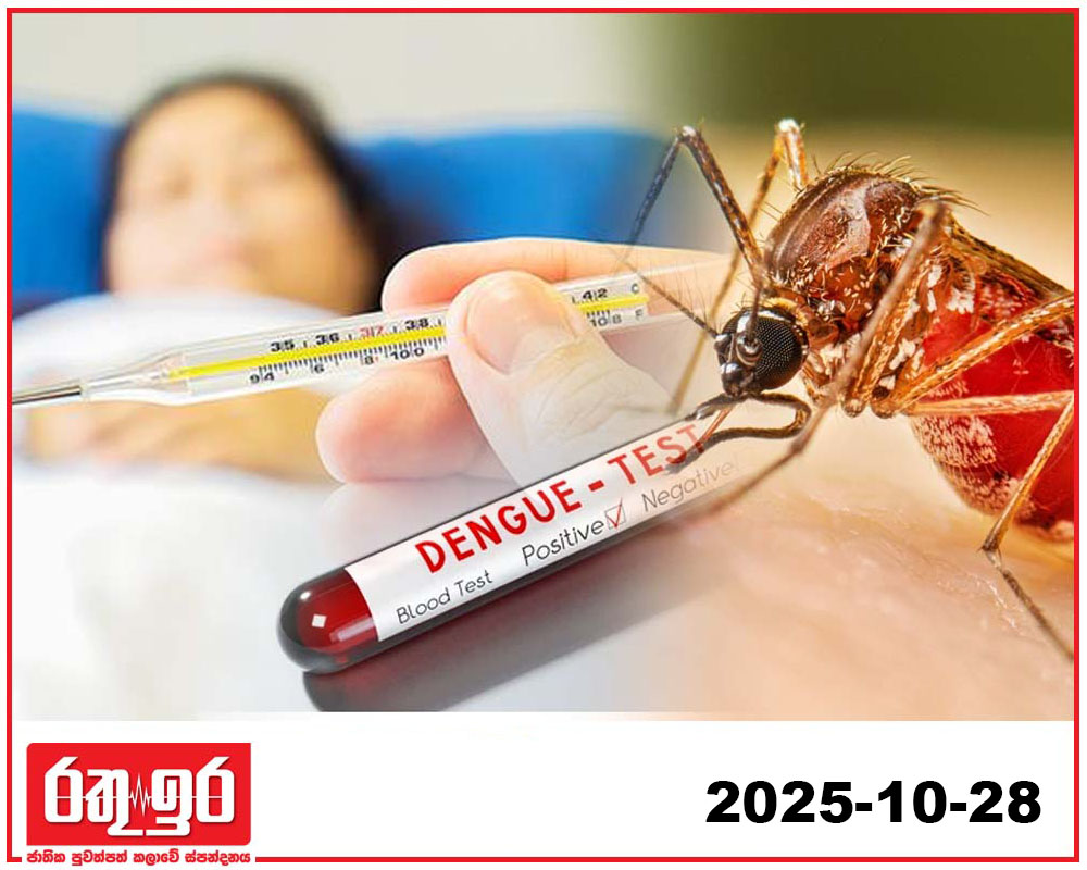 දැනට ඩෙංගු රෝගීන් 40649ක්..!