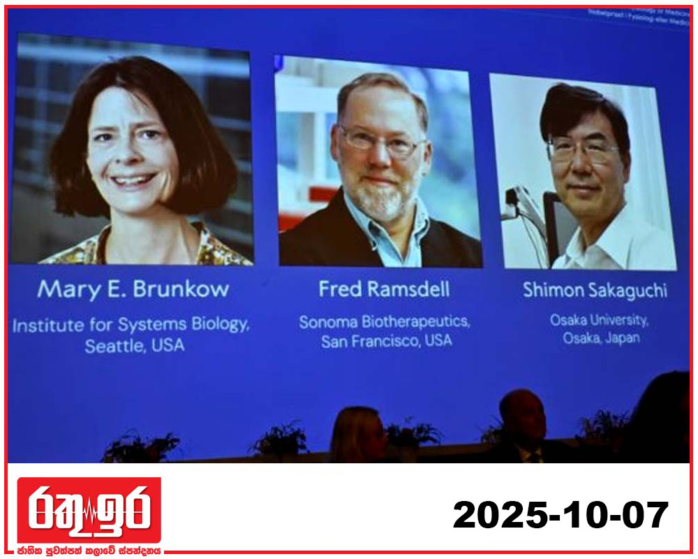 ප්‍රතිශක්තිය ගැන අලුත් දැනුමක් දුන් 3කට නොබෙල්