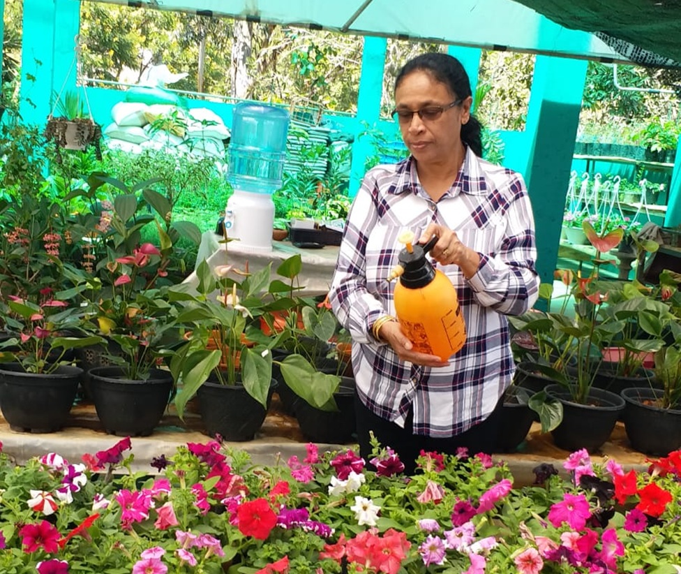 ටී.එම්.බී. තෙන්නකෝන් : විසිතුරු මල් හා පැළ වගාවෙන් ජීවිතය ‘මල් යහනක්‘ කරගත් ව්‍යවසායිකාවගේ යශෝරාවය