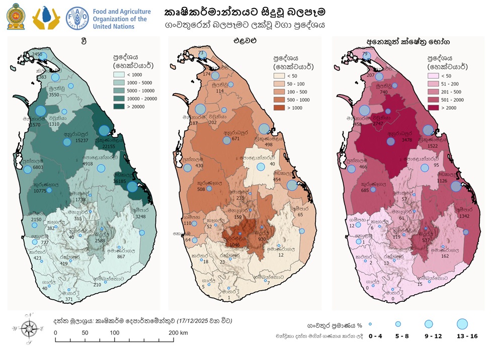 දිට්වා සුළි කුණාටුවෙන් කෘෂි බෝග වලට සිදු වූ හානිය FAO සිතියම්ගත කරයි