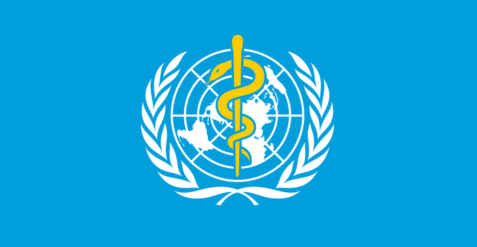 සුළි කුණාටුවෙන් මියගිය සතුන් හැසිරවීම සඳහා WHO මාර්ගෝපදේශ නිකුත් කරයි