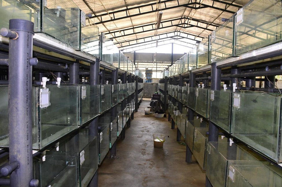 ධීවර කර්මාන්තයට කෝටි 765කට අධික හානියක්: කර්මාන්තය යළි ගොඩනැගීමට පුළුල් ප්‍රතිසාධන සැලැස්මක්