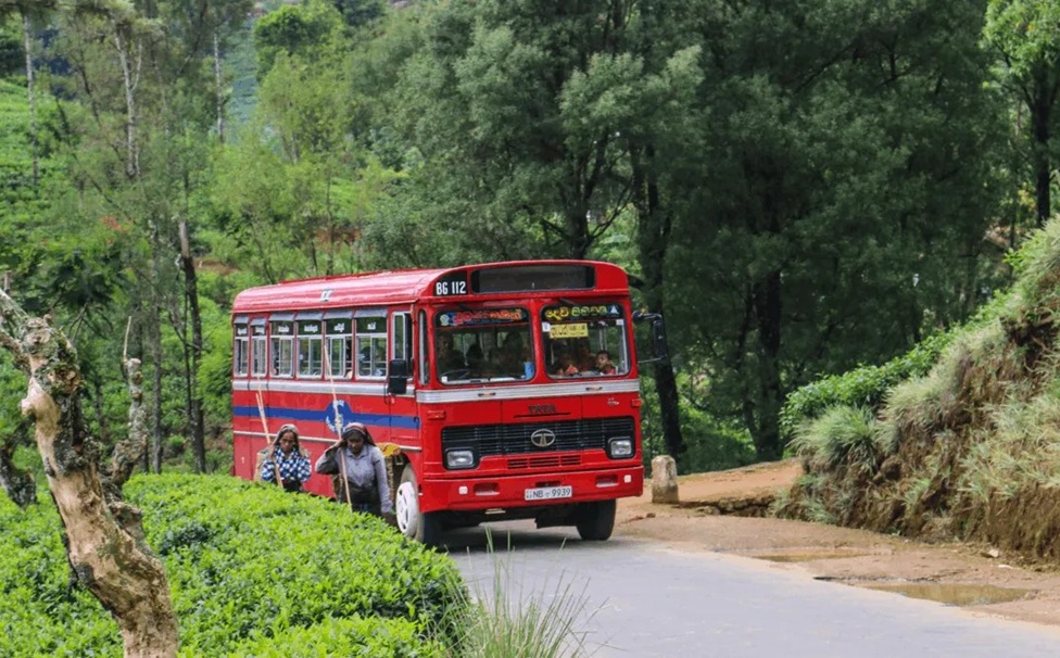 “පුනරුදයට මග” නව බස් සේවා ආරම්භ කෙරේ